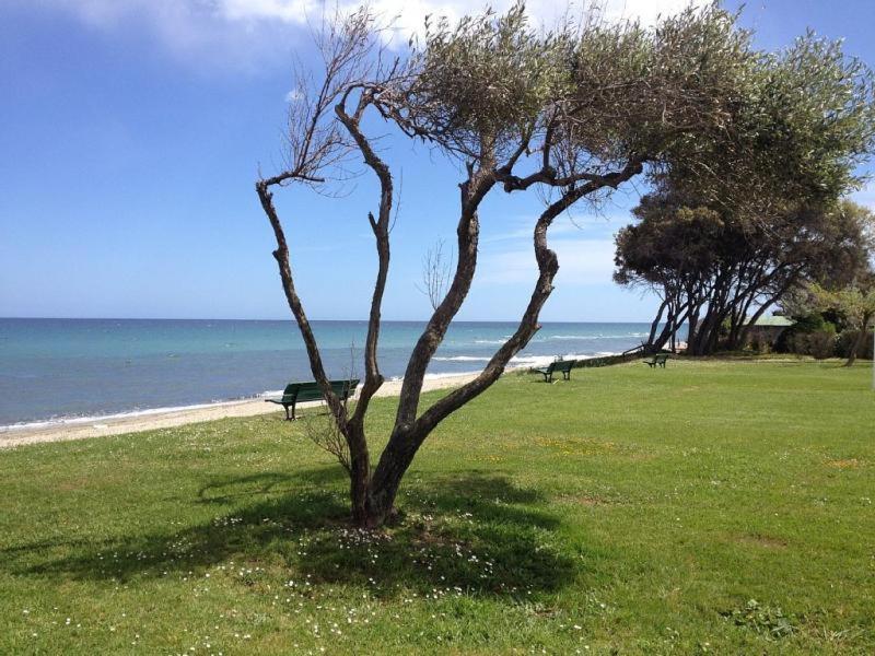 studio à 100m de la plage et de la piscine réservation du samedi au samedi Cervione Exterior foto