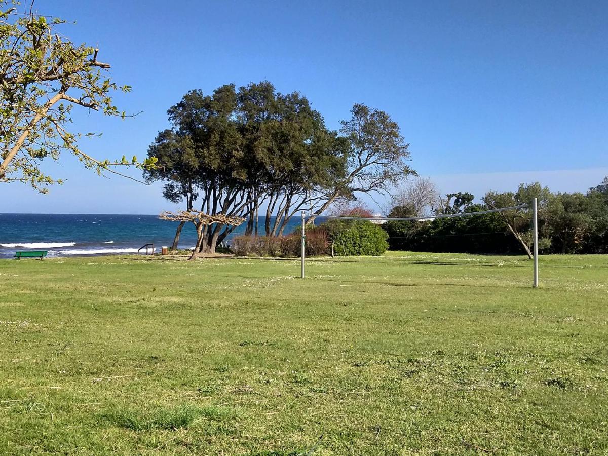 studio à 100m de la plage et de la piscine réservation du samedi au samedi Cervione Exterior foto